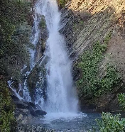 Casa Amparo *